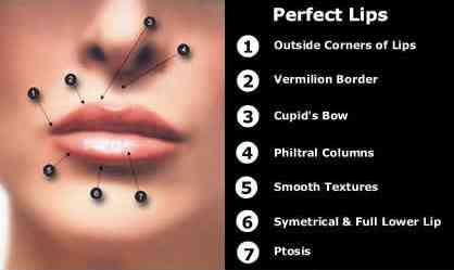blog-perfect-lip-lip_implant
