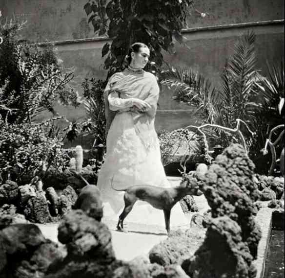 Amei o jardim com que a paisagista Paula Bergamin homenageou a divina Frida Kahlo!