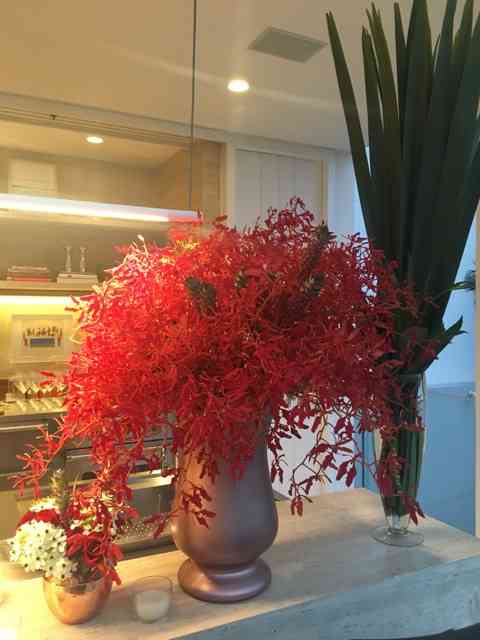 Close no lindo "bouquet" de orquídeas: natal tropical!